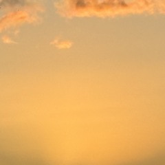 TopOppGen - if you was my pill (unreleased)