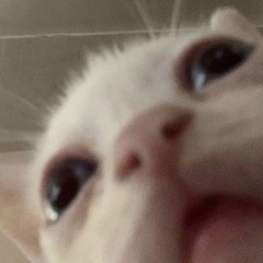BugGuts
