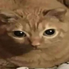 poirO The Croissant