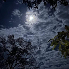 moonlight stars