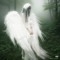 BLI$$ANGEL