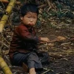 Đặng Gia
