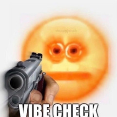 checker of the vibes.