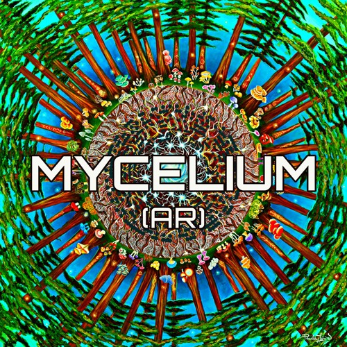 Mycelium (AR)’s avatar