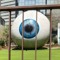 [STOP LOOKING]