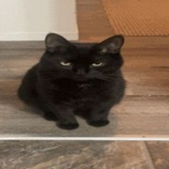Jack