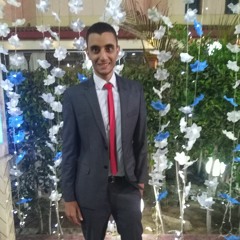 mostafa el_laithy