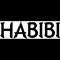 DJ HABIBI