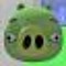 gmd dnchplay