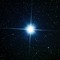 Dreams of the Cosmos
