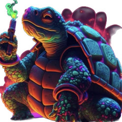 Turtle💨