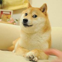 James Peng 埋料犬犬