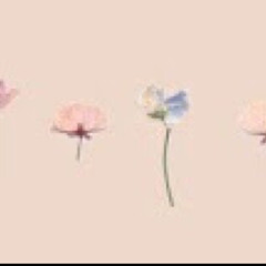 منال عبدالله غانم