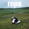 горя