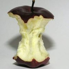 رضا رضا مرعي