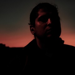 Amir Shoaei