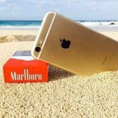 إبراهيم وحيد