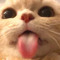 キキ