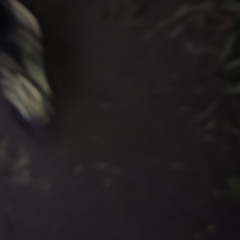 nessR