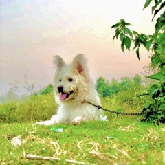 mado khan