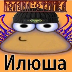 svexxy