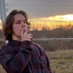 западный митинг