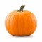 pumpk1nodude