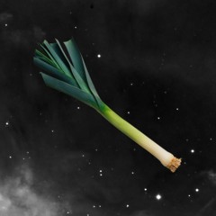 STXR LEEK