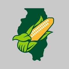 IL Corn