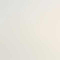 Signal Corps Industries