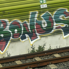 Trabbet-og1no