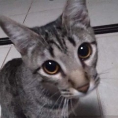 Sukiyy