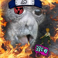 ☆MONKE☆