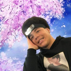 lil flintstone vitamins