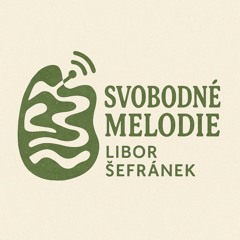 Šefránek Photography, Rádio SM6