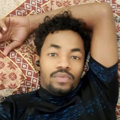 محمد صديق وقيع الله