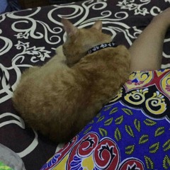 raka