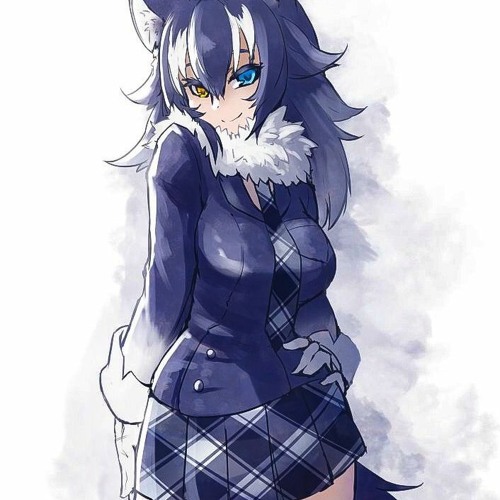 wolfy’s avatar