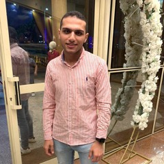 Elbash Mohandes