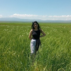 Ebru