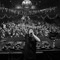 fedde van Well