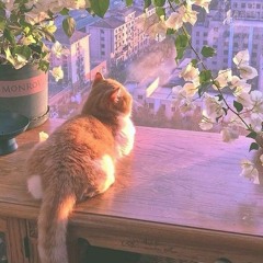 min star