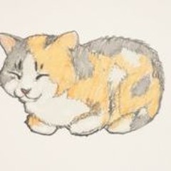 zoe_CATS