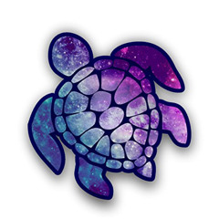 Big Tortuga