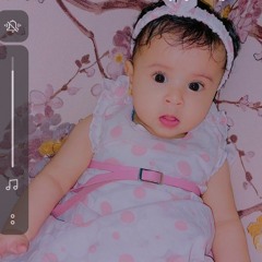 mahmoudhosni494@gmail.com