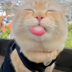 Tuấn Duyy