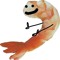 that shrimp guy