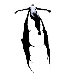 lynx