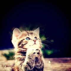 hatemeloveme