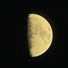 mariannexo